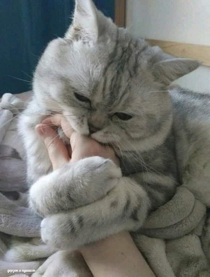 Hình ảnh mang tính chất minh hoạ