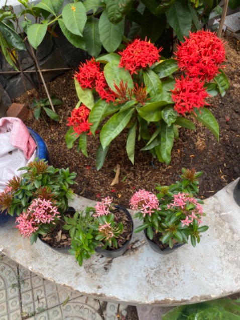 Hhii tốt nhất đẹp quá