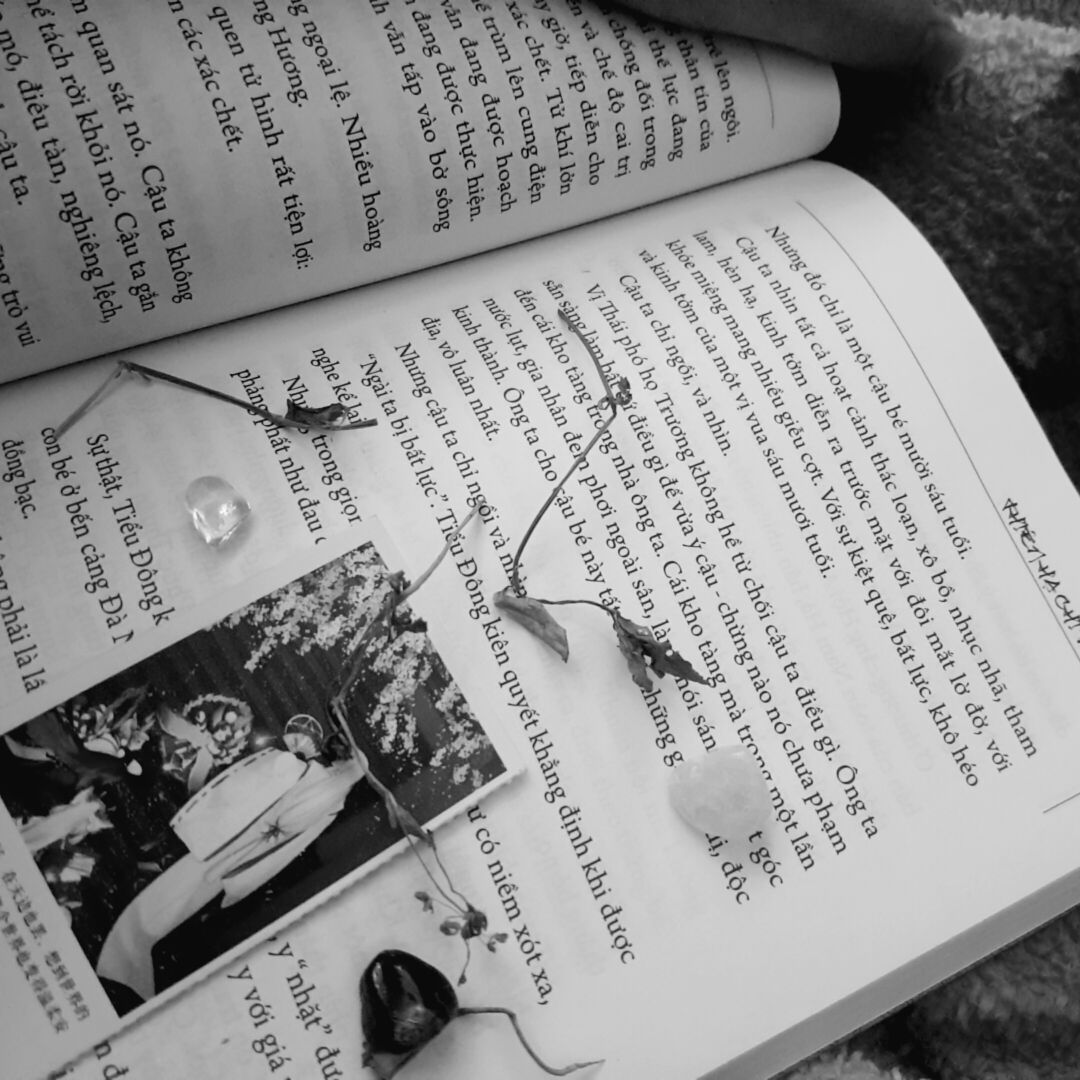 Thiên hạ chi vương , là chuyện ở Phú Xuân , chuyện ở xứ nam hà, chuyện về họ Nguyễn Phúc . 
Tiếc nuối , nổi buồn man mác khi gấp quyển sách lại. Thật sự , thời thế , quyền lực , rốt cuộc đã nhào nặn thế nào ? Khiến linh hồn một đứa trẻ như Nguyễn Phúc Thuần thành ra vặn vẹo đến thế....đau lòng .