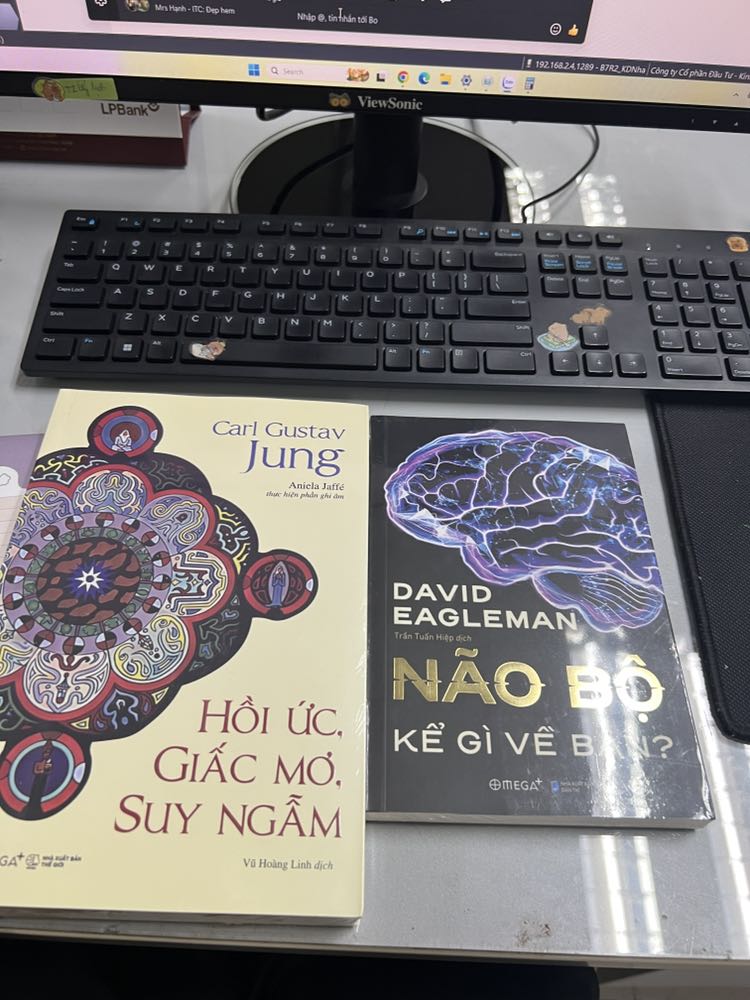 Mình chưa đọc nhưng tò mò về não bộ nên mua đọc, sách giao tới còn nguyên trong bao kính ko bị vấn đề gì cả, đóng gói ok