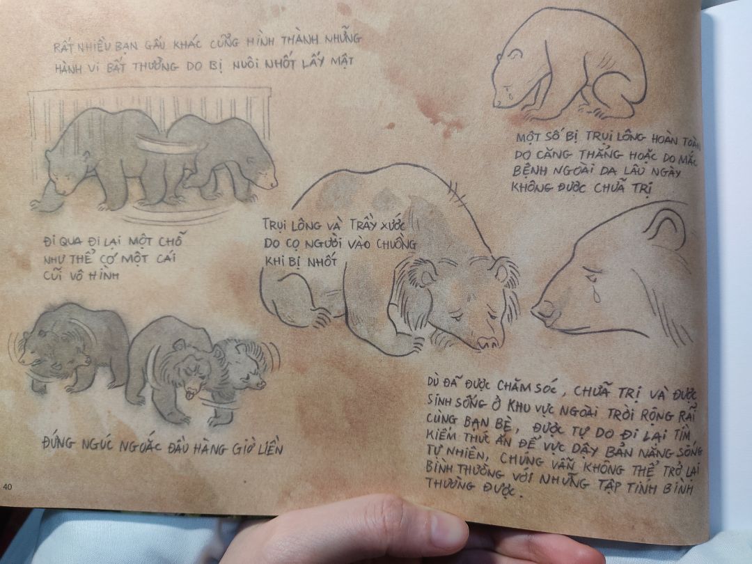 Đây là 1 cuốn sách cảm động, giống như 1 cuốn nhật ký của chị Trang về 1 phần hành trình trở thành nhà bảo tồn động vật hoang dã vậy - ước mơ được chị ấp ủ từ năm 8t. Chị đã vượt qua những định kiến xã hội, nỗ lực hết mình để theo đuổi giấc mơ. 
Không chỉ trẻ em, mà ng lớn cũng học hỏi đc rất nhiều điều từ cuốn sách.
Hoạ sĩ Jeet Dzung đã minh hoạ thật sống động hình ảnh về rừng tự nhiên, các loài động vật hoang dã.
Bên cạnh đó, cuốn sách còn hé lộ thông tin về các loài gấu, tác động tiêu cực khi gấu bị nuôi nhốt lấy mật quá lâu, cách thức gấu *** săn mồi và lợi ích của việc để các loài động vật hoang dã sống đúng theo quy luật của tự nhiên.
Hành trình của chị Chang và bé gấu Sorya thật cảm động. Qua từng trang sách, tôi có thể nhận thấy tình yêu chị dành cho Sorya lớn nhường nào. Vì để cô bé đc sống trong tự nhiên - môi trường tốt nhất cho sự phát triển của động vật hoang dã, chị đã đồng hành cùng Sorya suốt 1 chặng đường dài: cùng ăn, ngủ, nghỉ và hướng dẫn, cổ vũ Sorya tự lập vs cuộc sống trong rừng. Tôi đã khóc khi đọc đến cuộc chia tay của chị vs Sorya. Hành trình dài ấy đã kết thúc khi Sorya nhút nhát bé bỏng ngày nào h đã thành cô gấu dạn dĩ hơn, có đủ các kỹ năng cần thiết để sinh tồn ngoài tự nhiên. Chị Chang đã thành công giúp Sorya hoang dã và tự do.