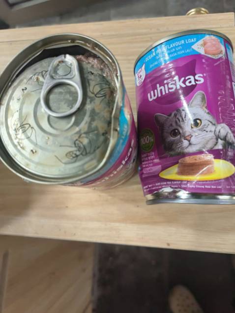 Có 2 hộp bị hỏng, nổi mốc xanh. Chắc bị quăng quật.