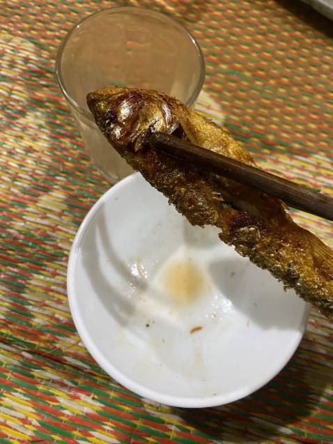 Chất lượng tốt giống hình