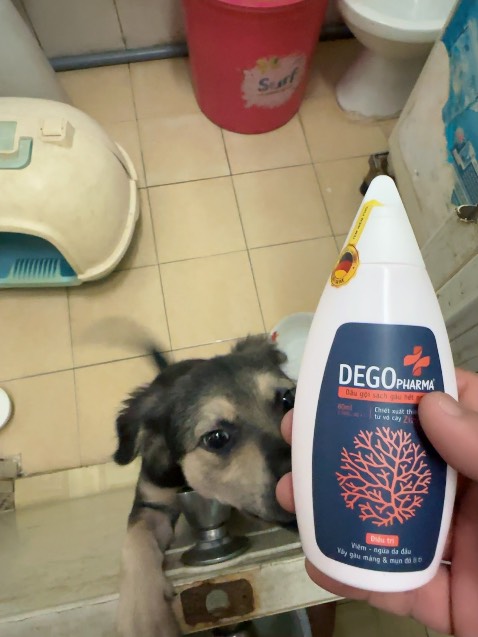 Thiệt sự tôi chưa từng tin sản phẩm nào nhưng nay gội tới lần thứ 2 hết sạch - tôi bị nấm rất nặng ăn xuống da mặt và cằm nhưng nay hết thật sự luôn mọi người