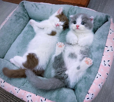 Ok 👍
Mình đã nhận đc hàng , sp đúng Mô tả. 👍👍👍👍👍