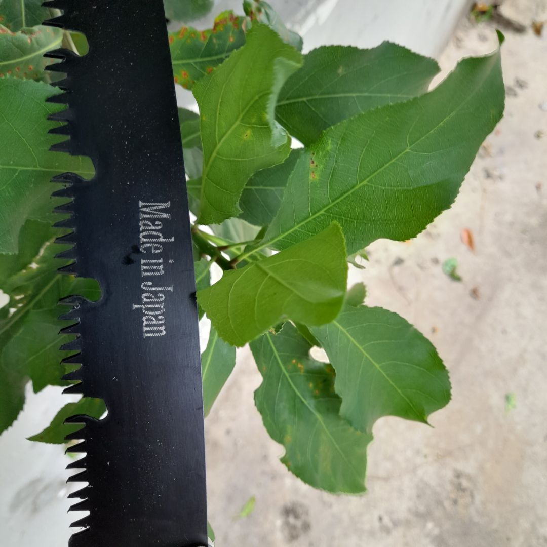 cưa nhật xịn sò
cưa sắc thật
ưng ý
giá quá rẻ so với thị trường
sẽ mua thêm
. shop tư vấn nhiệt tình ok