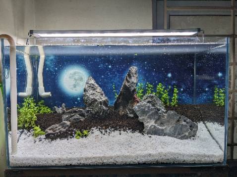 Chất lượng hoàn thiện sản phẩm tốt, chắc chắn, đơn giản dễ sử dụng.