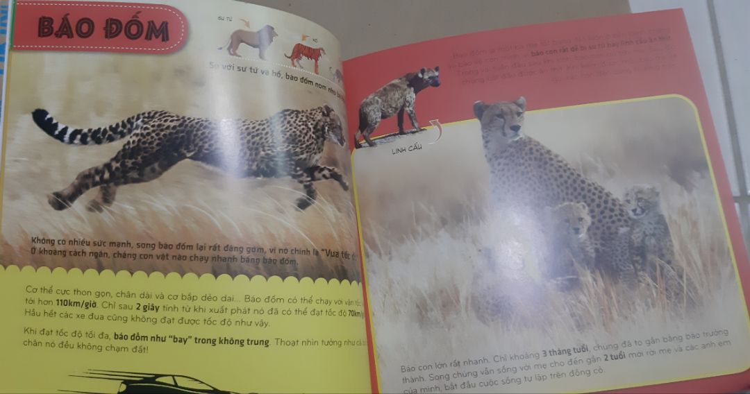 tiki giao sách nhanh, đóng gói cẩn thận, giảm còn 28 ngàn. sách in đẹp nội dung đa dạng về các động vật hoang dã.