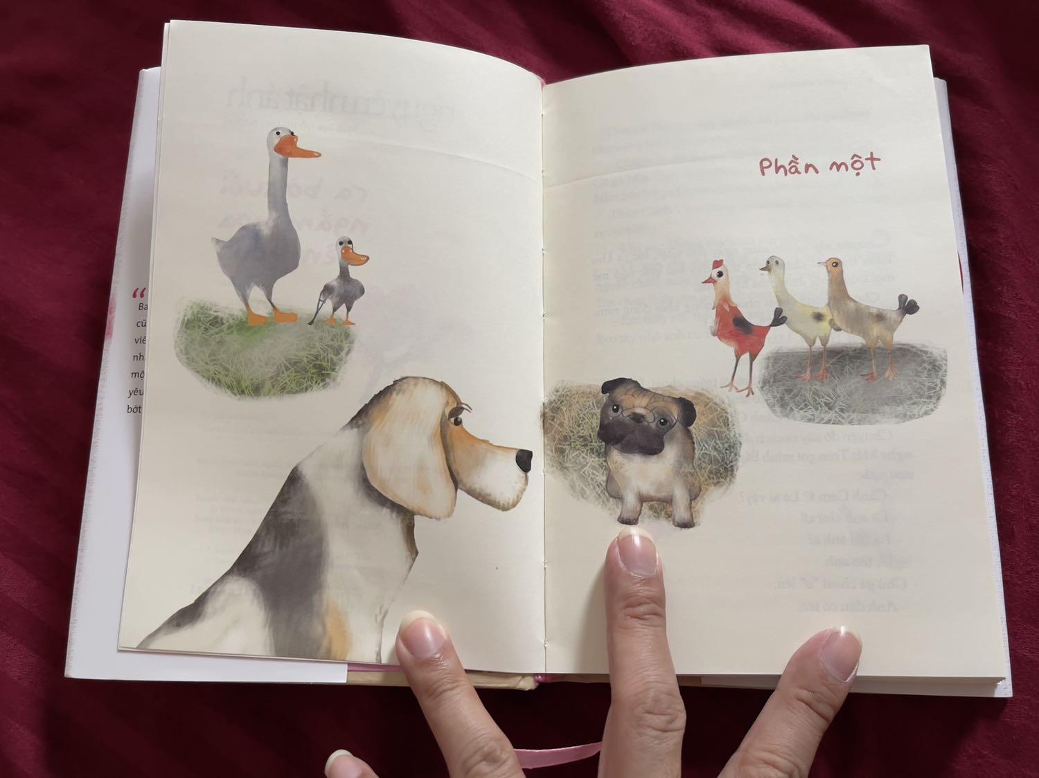 Sách ở thực tế đẹp hơn so với tuởng tuợng, hàng giao đúng mô tả bao gồm 1 sách, 1 bìa phụ, 1 thiệp thơ hình trái tim, 1 tấm đánh dấu sách in 2 mặt, 1 quyển sách tặng kèm khổ nhỏ, tất cả đuợc bao bọc gọn gàng; bên trong sách bị vài vết hằn ở vài trang đầu không biết là tại sao? Mùi giấy thơm mới, cách trình bày chỉnh chu thấy có minh hoạ bằng tranh màu nữa, còn về nội dung thì chưa đọc nên chưa thể đánh giá; nhân viên giao hàng đúng giờ, thái độ lịch sự.