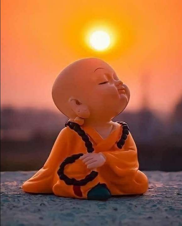 giao hàng nhanh sản phẩm chất lượng