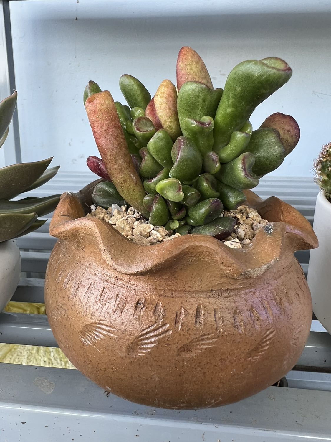 Đẹp hơn trong hình, giá rẻ, nói chung mình thấy đáng mua