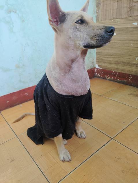 Okee nha ae ,với giá này thì ngon rồi ae ,mình sài cỡ hơn 3 tháng rồi mới đánh giá ,ngon bổ rẻ .hình ảnh lười chụp do sài lap Okee nha ae ,với giá này thì ngon rồi ae ,mình sài cỡ hơn 3 tháng rồi mới đánh giá ,ngon bổ rẻ .hình ảnh lười chụp do sài lap