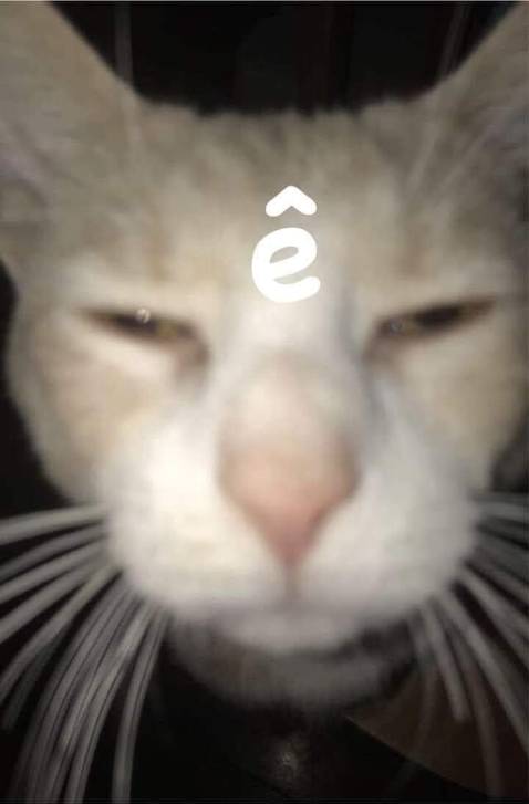 Sách okk lắm mọi người à có điều giao mà chả bao bọc j cả nhìn cuốn sách muốn rớt nước mắt