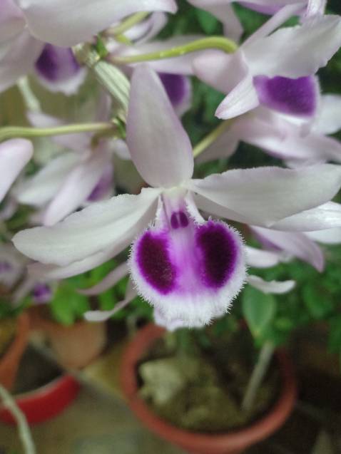 Thật sự mua sản phẩm này qua đây mình cũng đắn đo mãi. Sau thấy a bạn giới thiệu đã mua hàng nhiều lần của shop rồi. Mình đã quyết định đặt hàng. Không ngờ nhận được hàng mình quá hài lòng luôn. Máy chạy khá êm, chịu lực tốt. Shop uy tín nha. Tặng shop 5* nè.