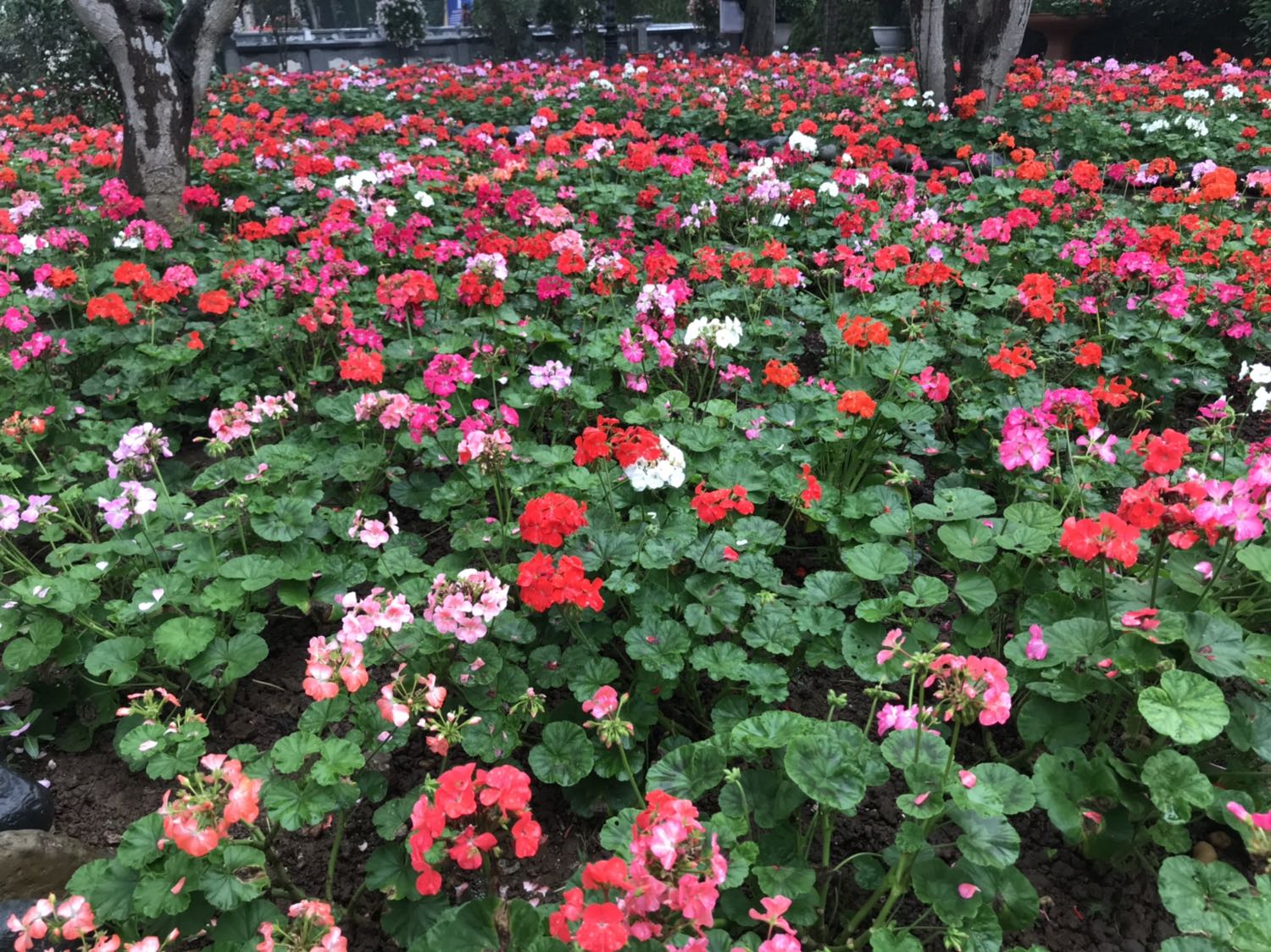 Bọc cẩn thận, giấy thơm mùi mới, rất ok