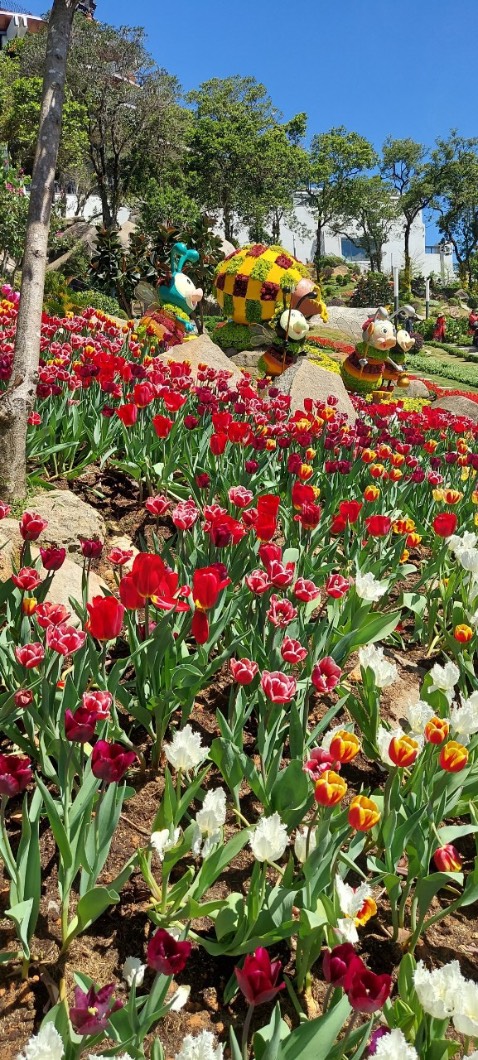 Giòn,béo, hạt đều
Nói chung hạt bí chất luọng!