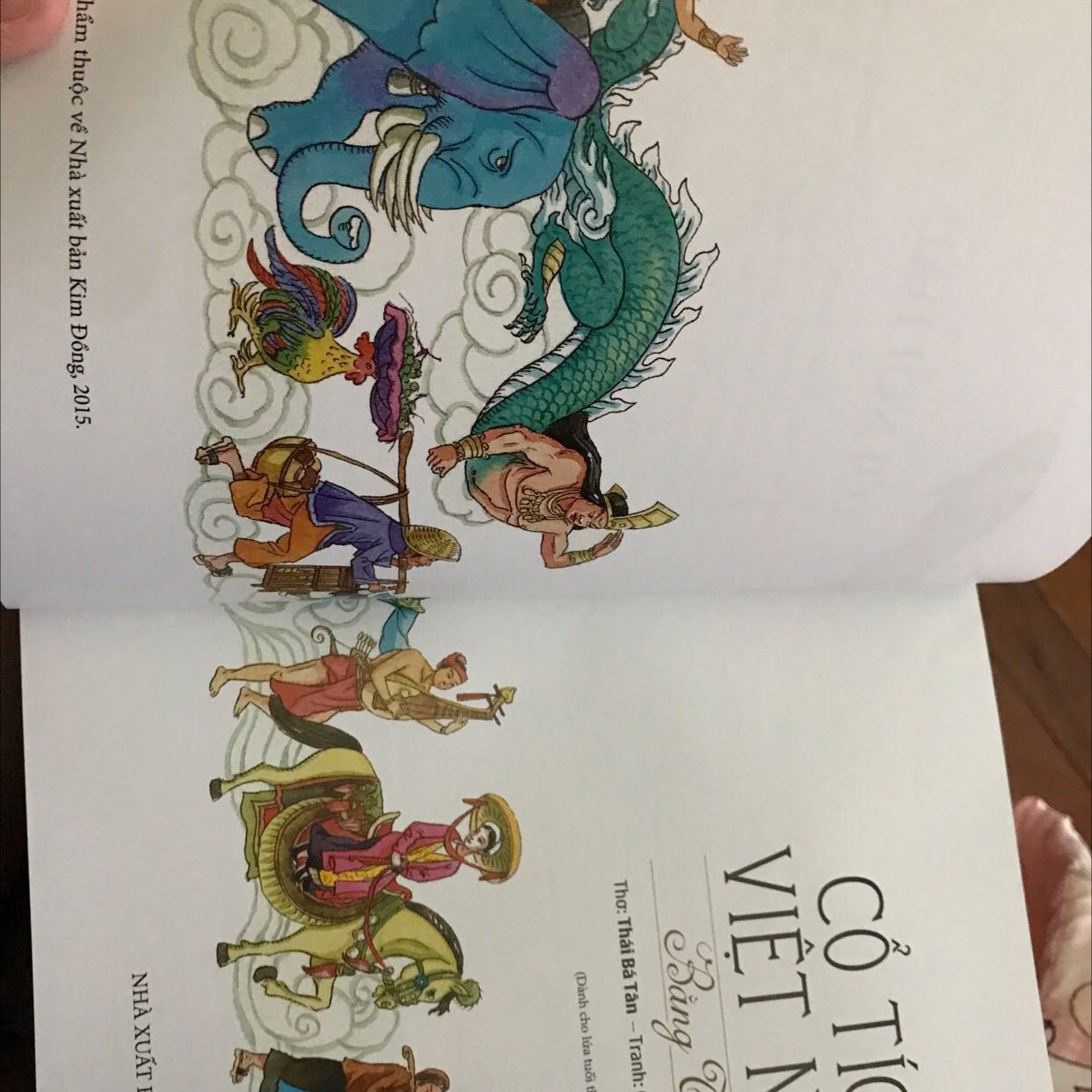 Truyện cổ tích Việt Nam bằng thơ của tác giả Thái Bá Tân viết vần điệu rất hay. Tranh minh hoạ của hoạ sỹ Chu Linh Hoàng đẹp và nhiều màu sắc tươi vui, mang nhiều nét truyền thống văn hoá, kiến trúc Việt Nam. Mình rất thích.