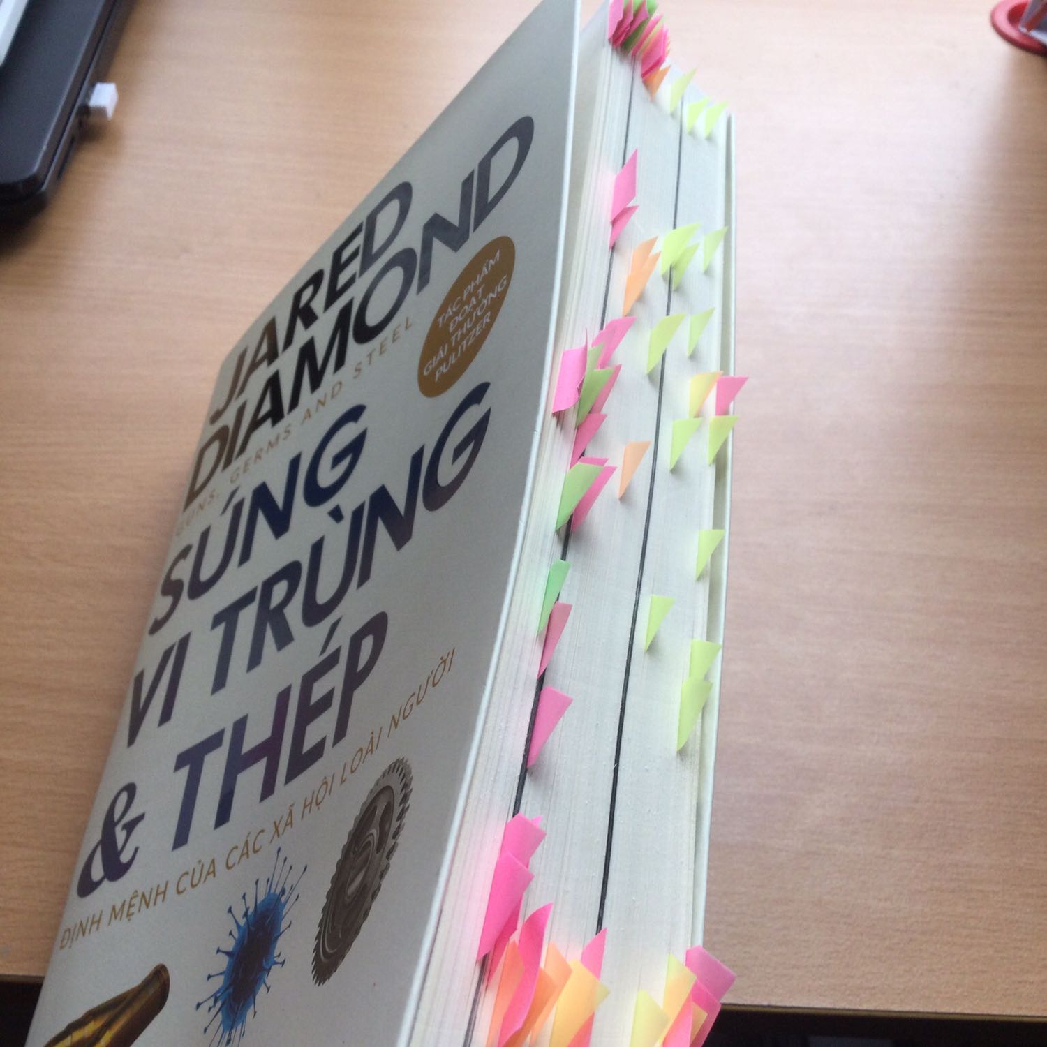 Mình rất thích con số rõ ràng song là bộ não cá vàng nên những đoạn, bảng biểu niên đại là vào mắt trái ra mắt phải. Sống sót qua những đoạn phân tích tri thức thuần khoa học khô khan thì cuốn sách cũng mở ra nhiều tri thức văn hoá xã hội giá trị. Rất có thể mình sẽ đọc lại lần 2.