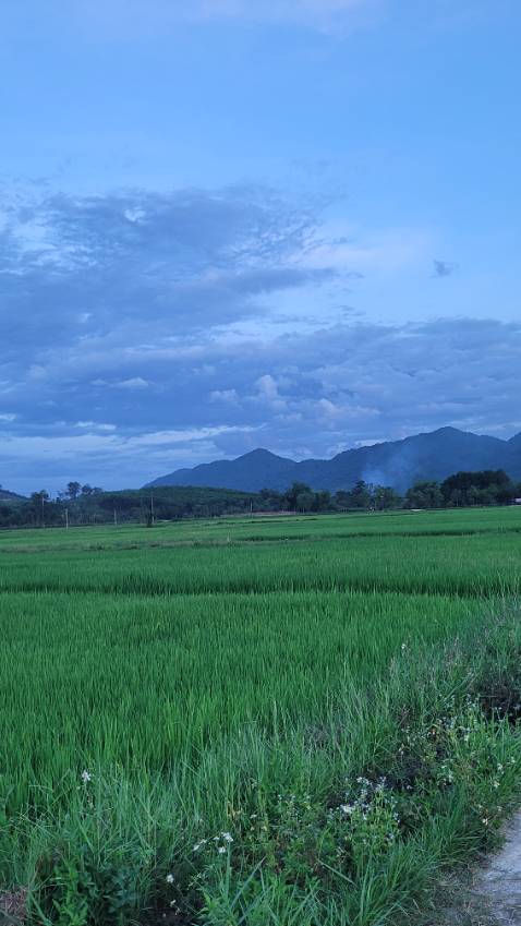 Hình ảnh rõ nét. Đáng mua