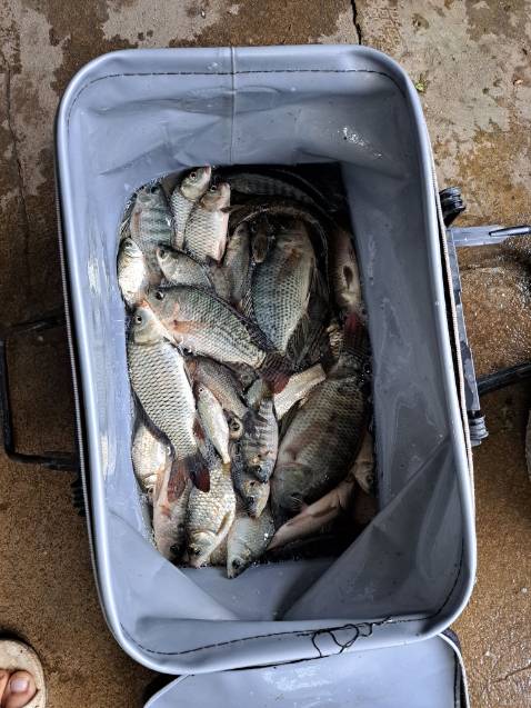 Đã nhận được hàng OK lắm