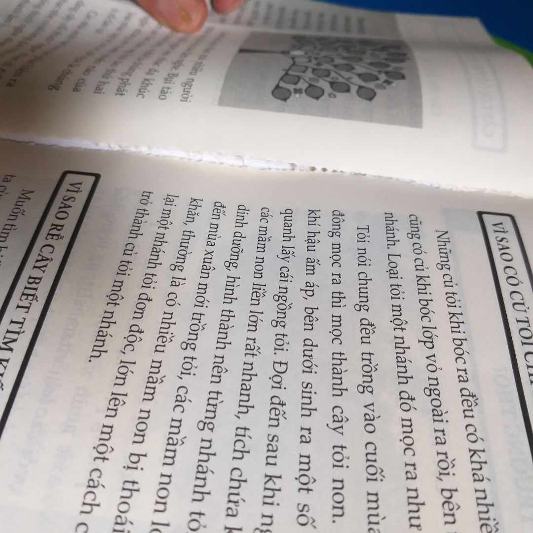 Trước tiên mình xin đánh giá về trải nghiệm mua hàng lần này của mình.
1: giao hàng thì trước thời hạn (20/10/2020) cái này thì ok nha. Nhưng bên giao hàng lại không phải là nhân viên của tiki cái này mình không thích nha.
2: Trước tiên thì sách có bọc nilon mà hình như có ai đó đã xé ra, cái này mình thật sự không hài lòng. Sách mua 1 bộ 5 cuốn mà có 2 cuốn bị lỗi rồi (1 quyển về thực vật, 1 quyển về con người) trong đó cuốn thực vật bị nặng nhất vì 1 chút xíu nữa là trang giấy bung ra khỏi gáy sách, cuốn về con người thì bìa bị bung ra.
Hy vọng tiki sẽ đổi lại cho mình 2 quyển bị lỗi nói trên. Chân thành cảm ơn tiki