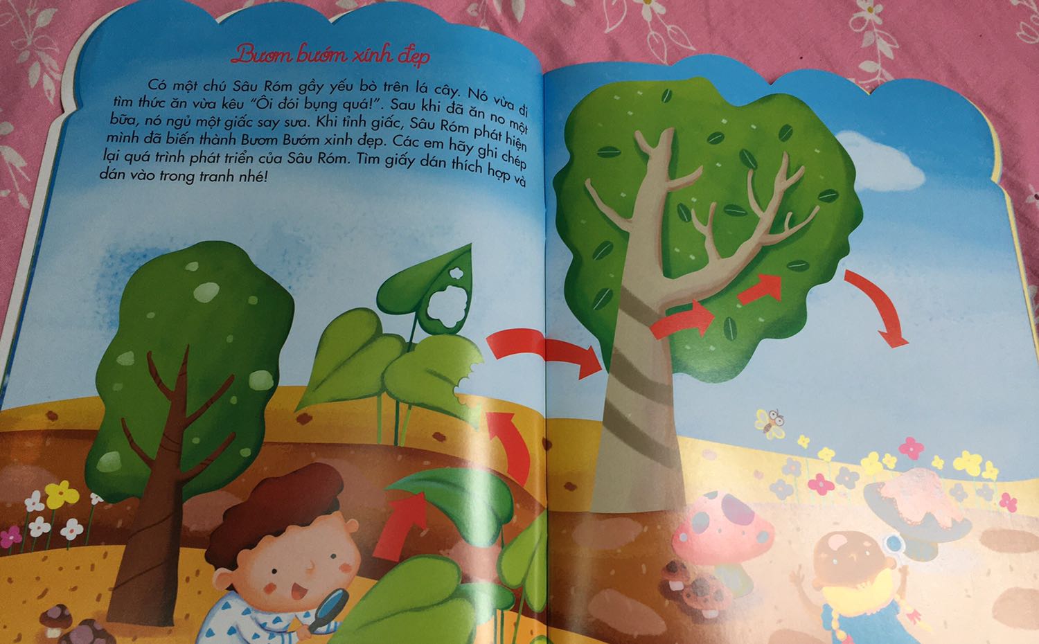 Sách in đẹp, miếng dán trên giấy cán bóng