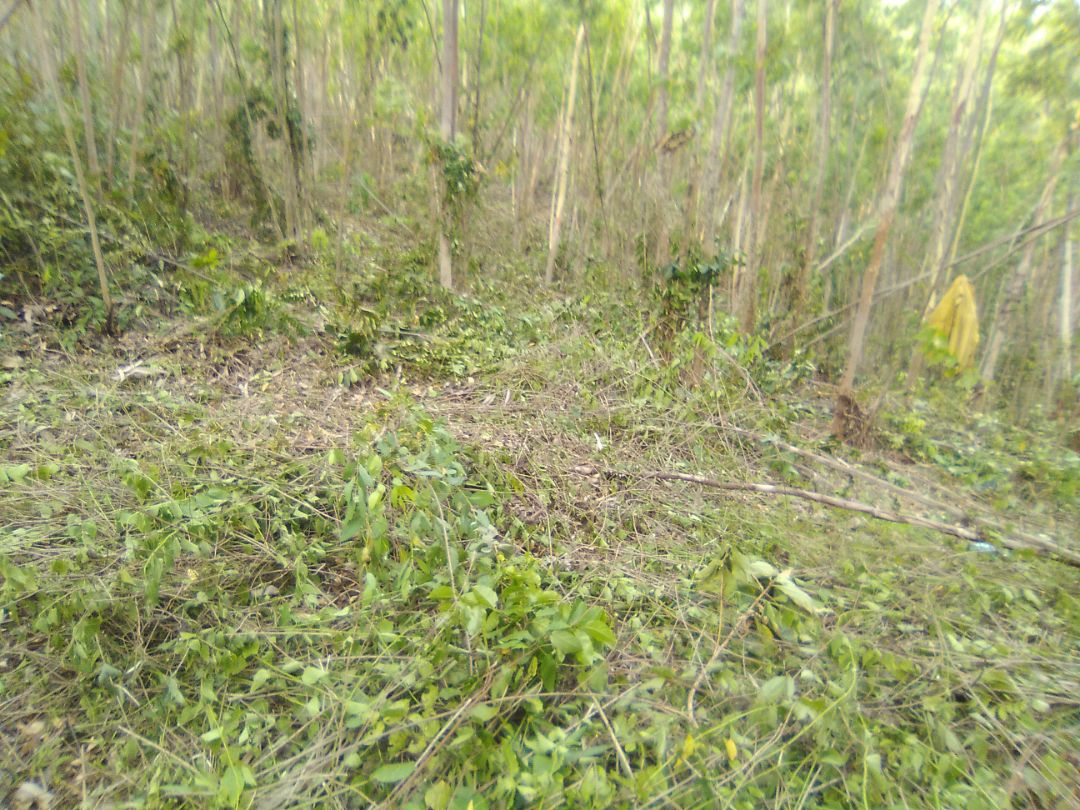 7eueijdhrhdhfhdhdhdjdj