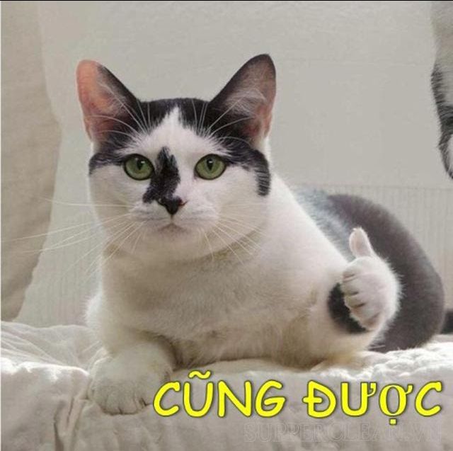 Nước mắm thơm ngon giống như nước mắm ngày xưa nấu,  giao hàng nhanh đóng gói cẩn thận,  xứng đáng 5 sao Nước mắm thơm ngon giống như nước mắm ngày xưa nấu,  giao hàng nhanh đóng gói cẩn thận,  xứng đáng 5 sao