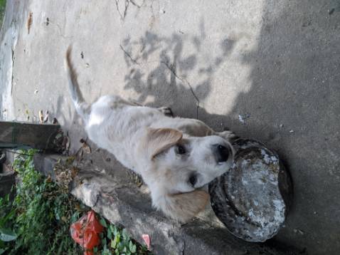 Ổn áp. Giá cả ok. Hình ảnh chỉ mang tính chất minh họa vì lười chụp ảnh. Ổn áp. Giá cả ok. Hình ảnh chỉ mang tính chất minh họa vì lười chụp ảnh.