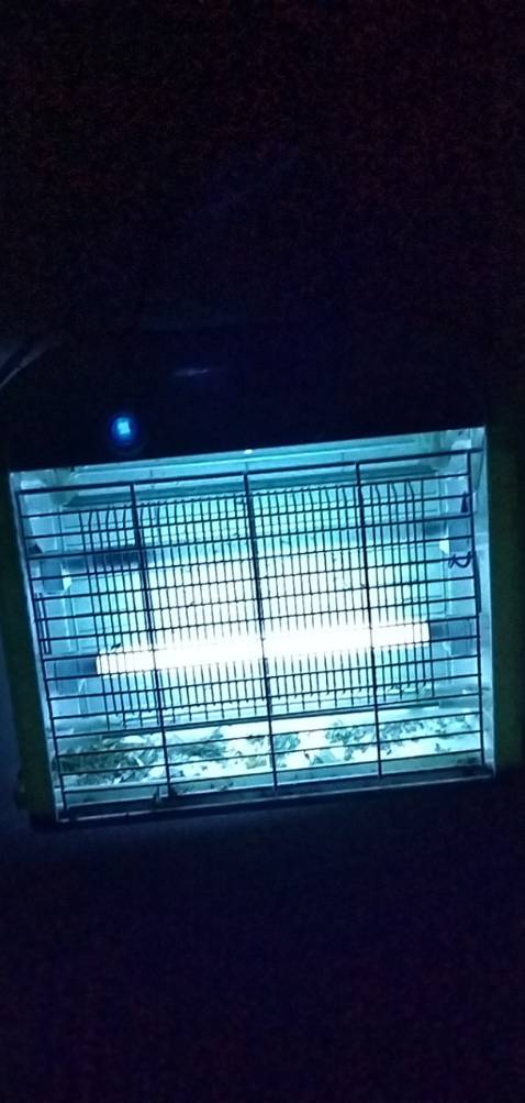 Đèn diệt muỗi và các loại côn trùng cực hiệu quả, tôi dùng nhiều loại, nhưng loại này thì khác biệt thưc sự, nhà gần kênh nước nên khá nhiều muỗi. nay tôi mua thêm 1 cái mới và thêm 1 bóng đèn thay thế cho cái này lúc trước mua chắc 1 dùng 1 năm rồi.