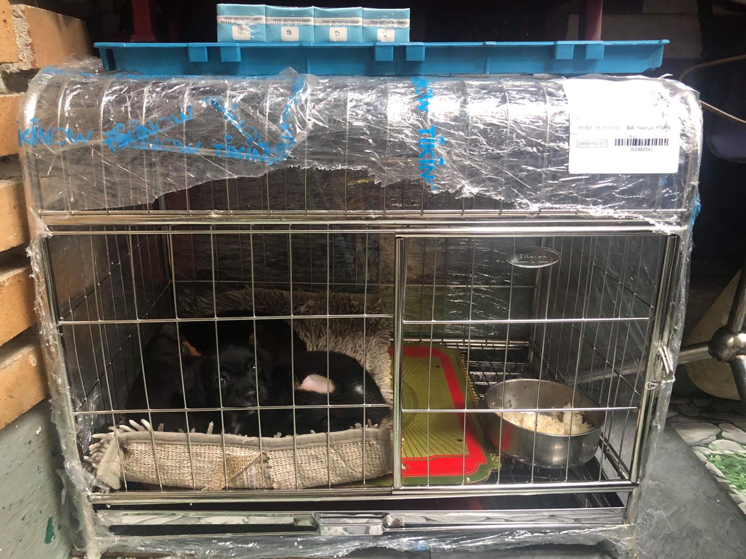 Trước Tết mua cho má chồng cái chuồng *** này, bà rất thích. Lúc mua giá 429k, mà freeship ra Đà Nẵng luôn. Chuồng loại to nhất nhốt được 3 em phóc: 1 mẹ và 2 con.