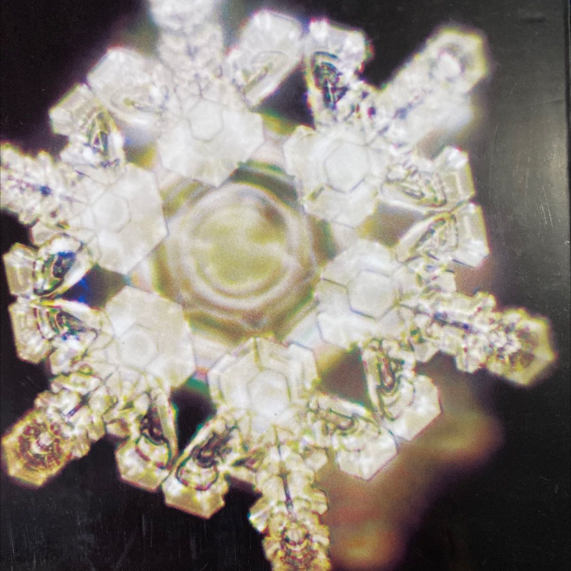 Sách đóng gói cẩn thận và rất đẹp đẽ. Cuốn được viết khá lâu nhưng giá trị nội dung của nó vẫn rất thời đại cực kì hay, tác giả rất uyên bác, cuốn sách giúp mình khám phá ra những điều ẩn giấu trong cuộc sống và những mối quan hệ và tầm quan trọng của nước