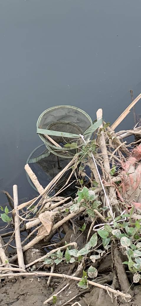 Hàng giao nhanh, sản phẩm cũng khá ổn, đã mua lần thứ 2 rồi. Sẽ ủng hộ shop tiếp khi cần.