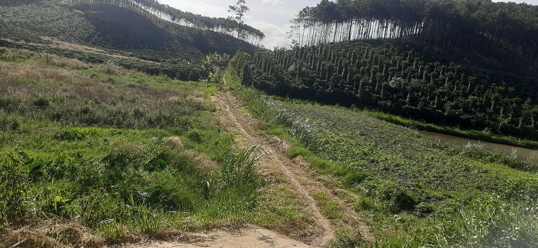 hàng đẹp. giống hình. đúng size. đóng gói đẹp. shop tận tình. sipper xinh.