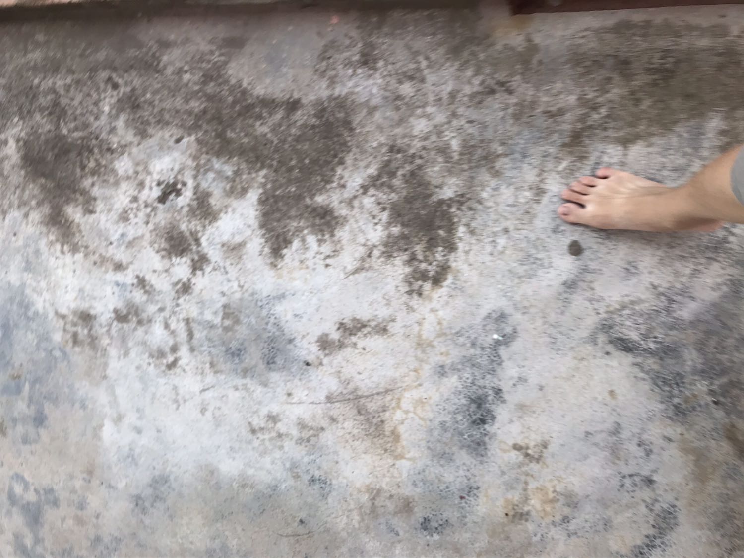 Um gf Th BF CB bff Th v fan BBC CB b B Việt Nam! V day