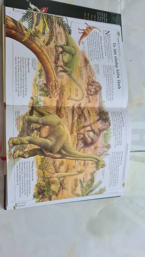 Nội dung hay , hình minh họa rất đẹp , cuốn hút . Mua ngay đợt sale nên giá khá tốt , rất nên mua nha