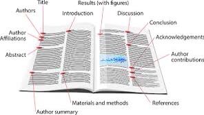 Sách đẹp, đóng gói kĩ, giao hơi chậm chút


Sách đẹp, đóng gói kĩ, giao hơi chậm chút

Sách đẹp, đóng gói kĩ, giao hơi chậm chút