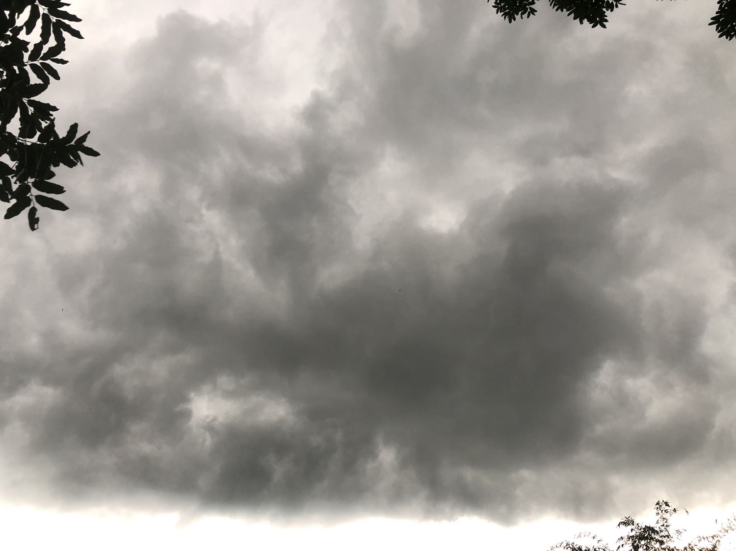 Chất lượng tạm ổn, hơi yếu, chịu khó bẻ cong cần đừng vươn quá dài thì dùng được