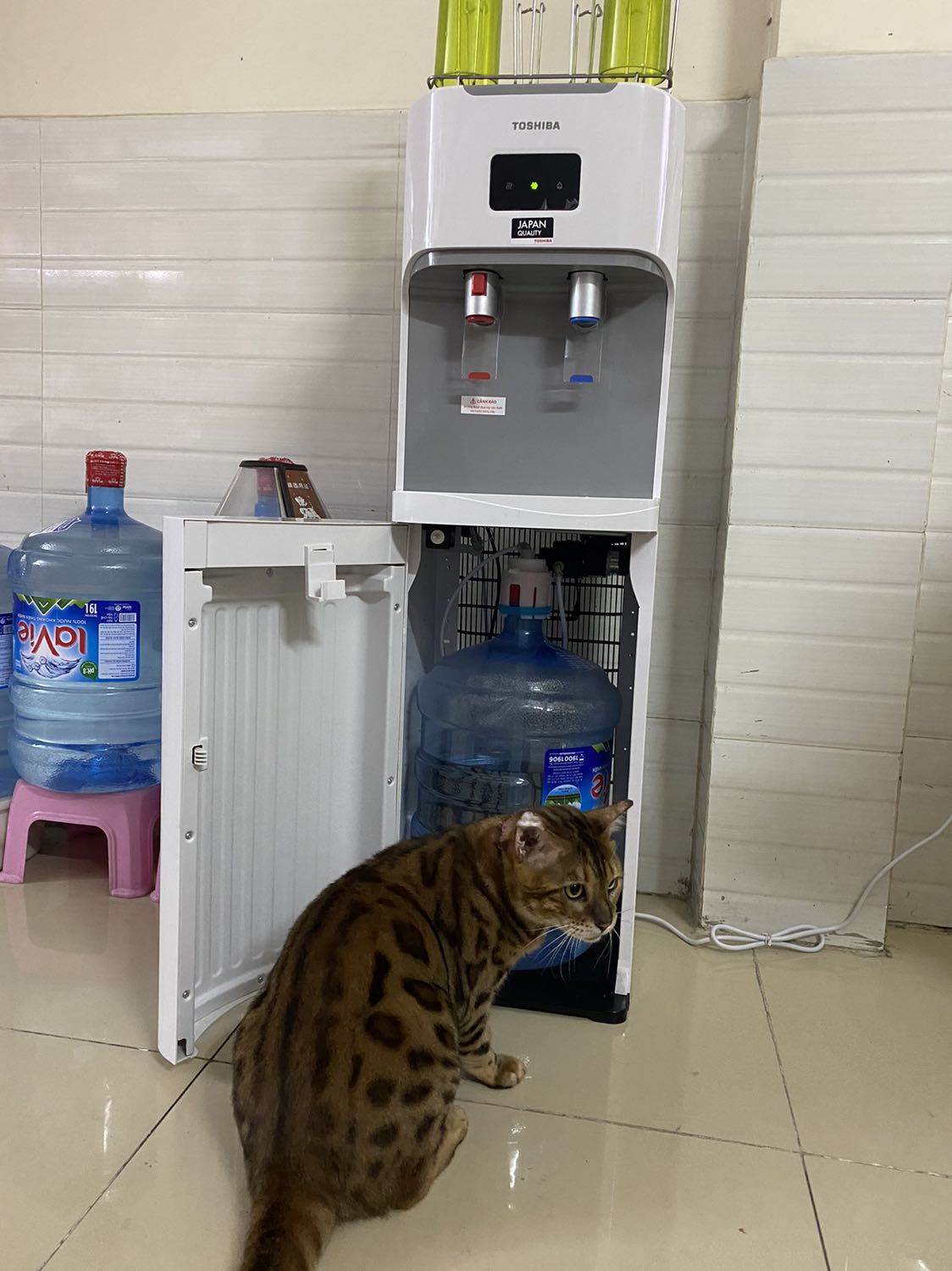 Máy nhỏ gọn, bình chứa nước để ngay bên trong ngăn chứa bên dưới.