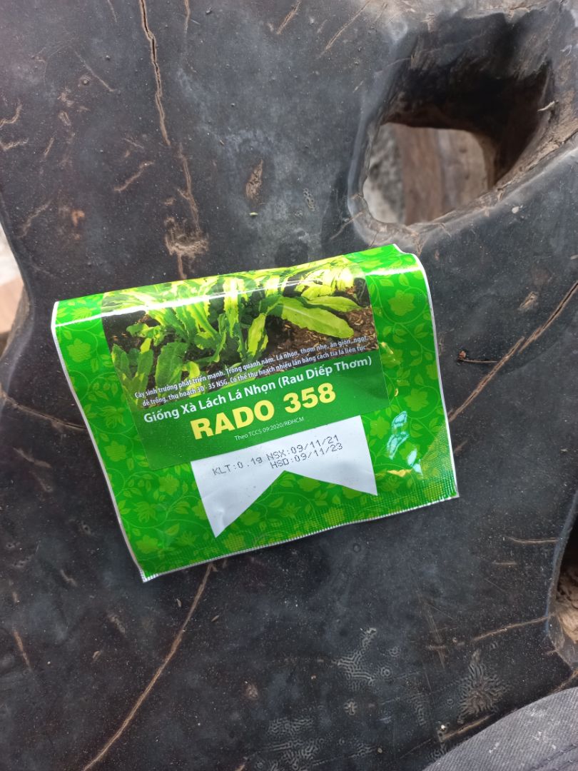 mình mới trồng nè. hạt giống tốt lắm bạn