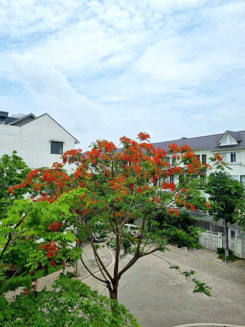 Mình mới mua dc 1 tuần, dùng cũng khá ổn. Nhưng giờ không cần dùng đến, ai có nhu cầu mua lại thì gọi ib mình để lại cho. ***