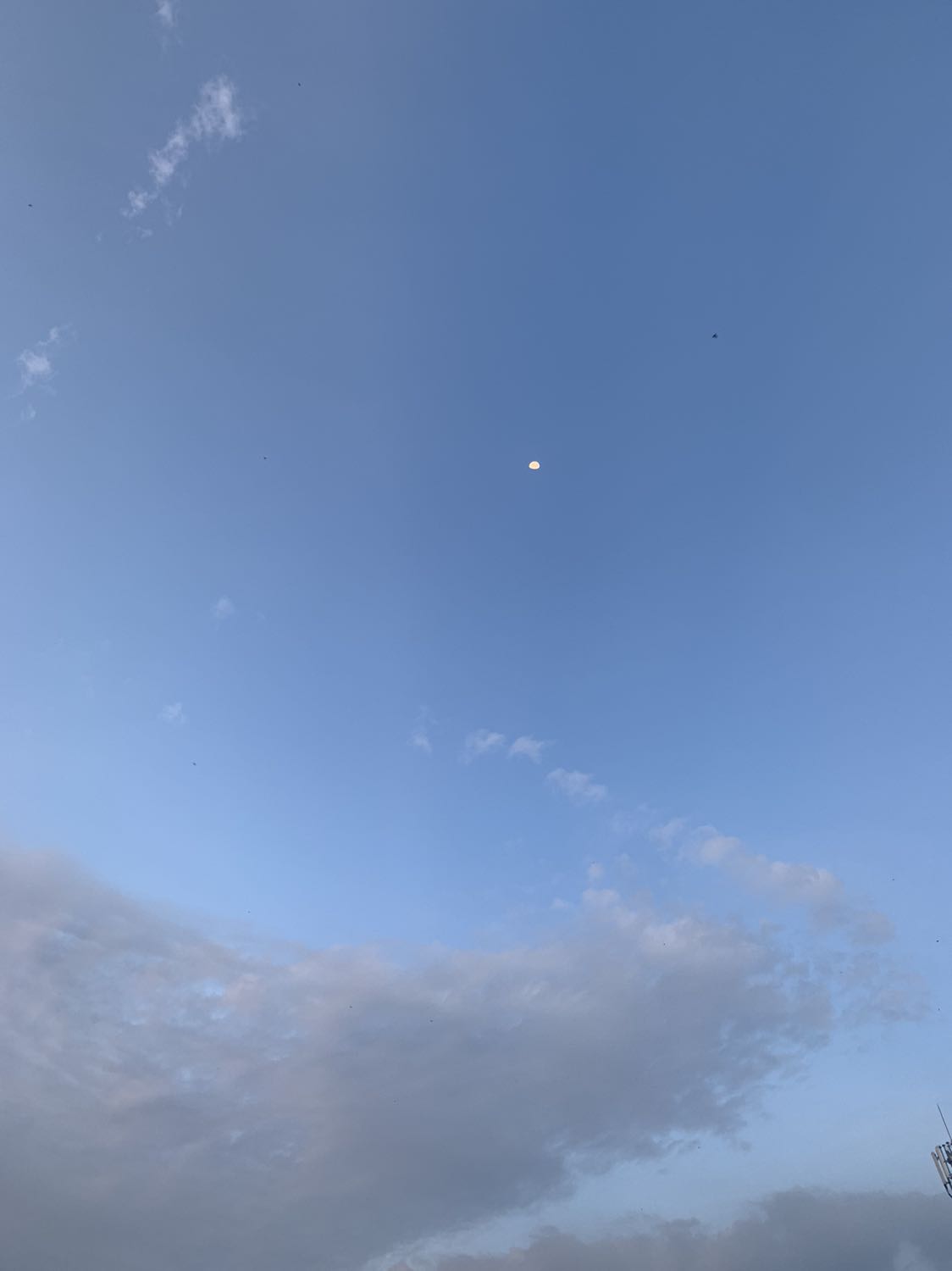 👌👌👌👌👌👌