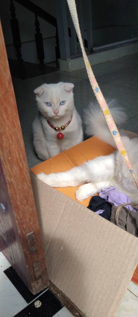 Tôi rất hàu lòng sản phẩm bên bạn