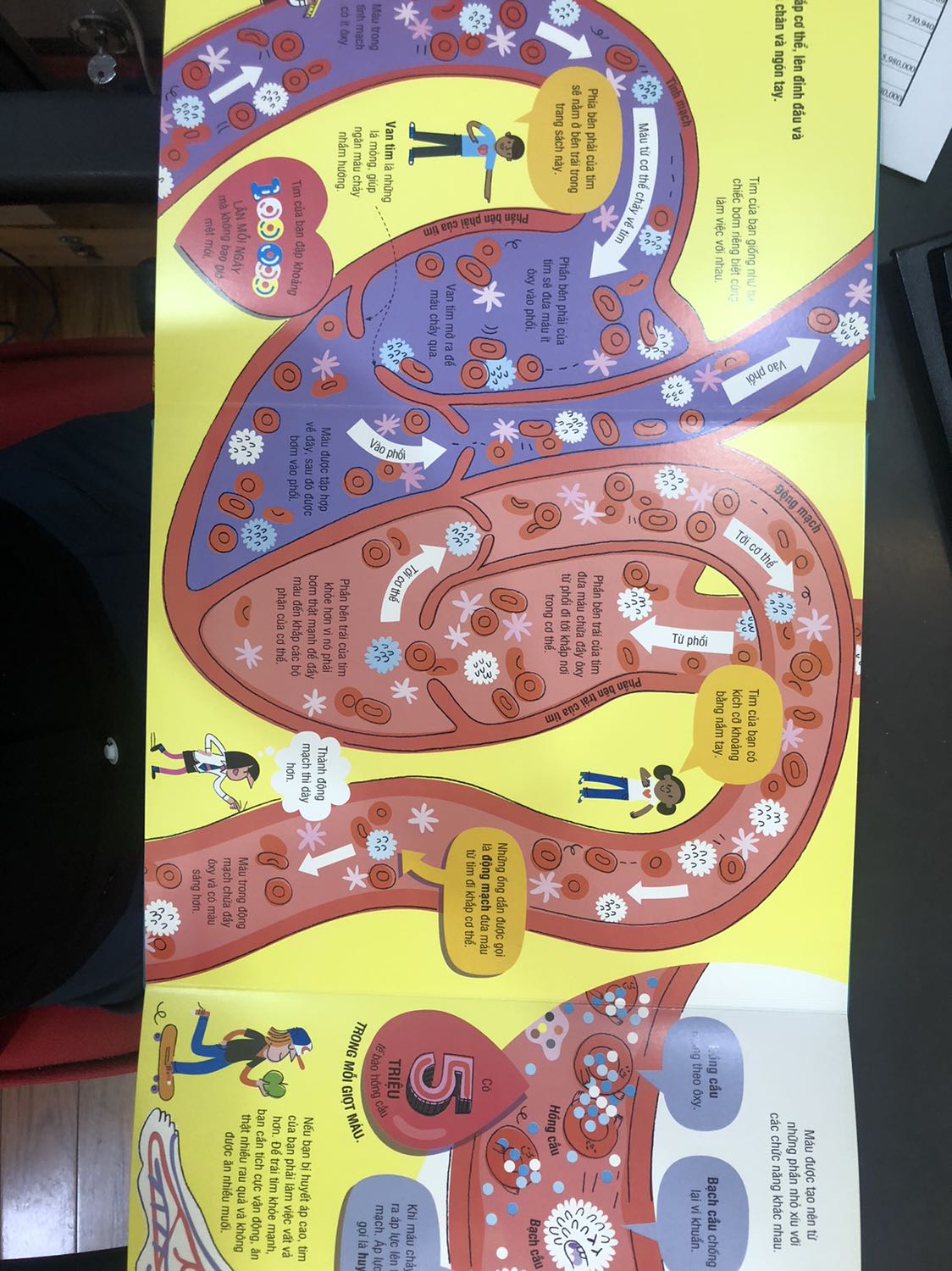 Sách đẹp. Bạn Gấu chắc mê tít