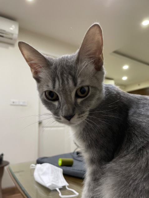 Chất liệu chắc chắn không rỉ vòi xả mạnh dùng rất ổn nên muA