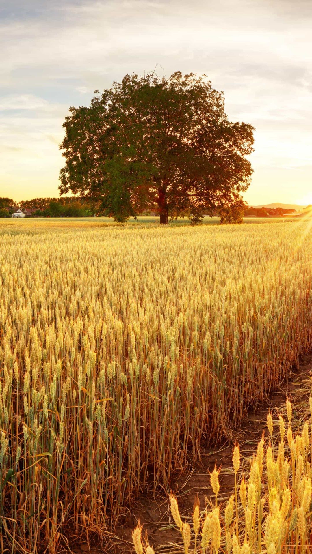 sản phẩm rất tốt dễ sử dụng đẹp và bền
sản phẩm rất tốt dễ sử dụng đẹp và bền
sản phẩm rất tốt dễ sử dụng đẹp và bền
sản phẩm rất tốt dễ sử dụng đẹp và bền