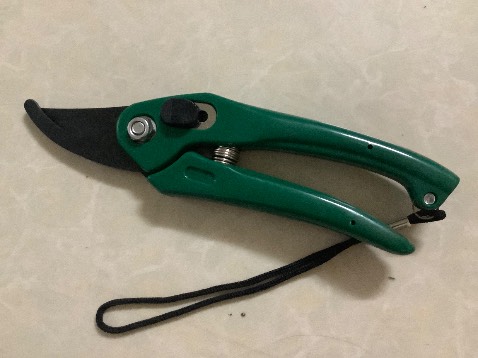 Lưỡi kéo bằng thép chống sét rỉ, cắt  cành khá mượt. Vì lưỡi kéo chỉ dài 18.5cm nên chủ yếu cắt cành vừa phải với cành nhỏ. Kéo có nút để khoá. Màu sắc cũng đẹp.