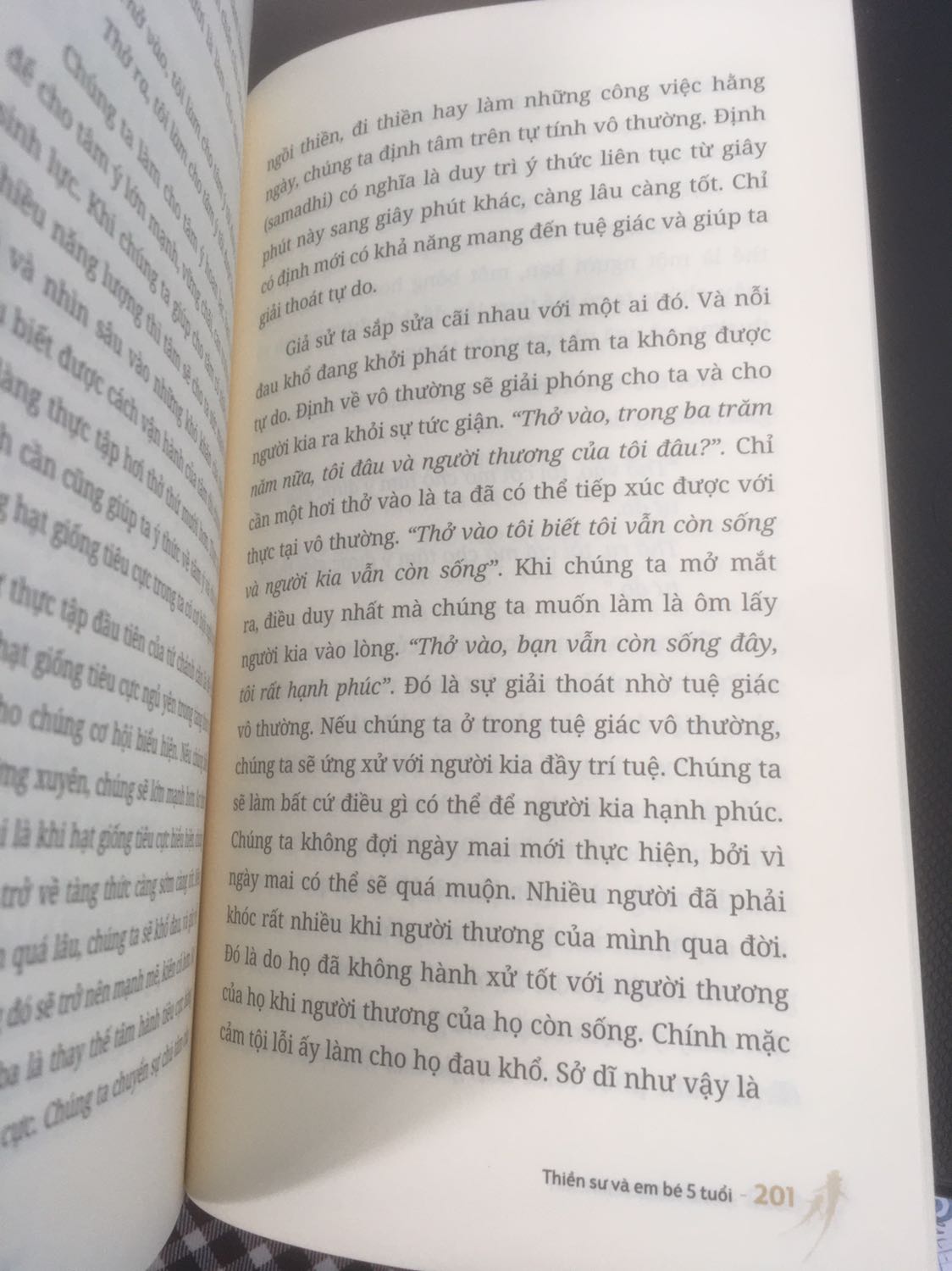 Cuốn sách đầu tiên mình đọc của Thiền sư Thích Nhất Hạnh. Nội dung chủ yếu nói về thiền tập hơi thở, chánh niệm và xoa dịu khổ đau. Đối với một người chưa từng nghiên cứu về tu tập thân tâm, mình cảm thấy có hơi bỡ ngỡ trước nhiều khái niệm được đưa ra (định, hành, tuệ giác, …) nên có lẽ sẽ phải đọc lại nhiều lần để hiểu sâu hơn và thực hành được.  
Mình rất thích cách thiết kế và hình thức của cuốn này. Giấy rất xịn và có mùi thơm. Tuỳ nhiên mình để ý nhà in đã in cùng một nội dung vào trang 201,203 và 205. Đây là lỗi in nên mong bên xuất bản kiểm tra lại.