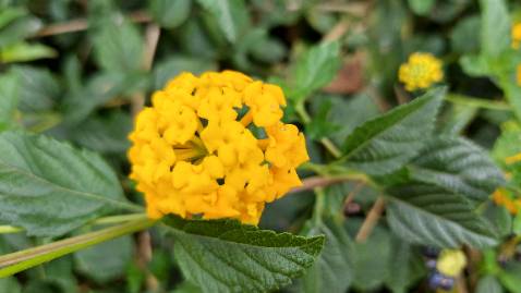 Bản in rõ, đẹp, chất giấy màu hơi vàng. 
Về nội dung, đây là cuốn sách nên đọc. Dù ngôn từ nhiều chỗ hơi cao siêu khó hiểu, nhưng về cơ bản thực sự giúp "giác ngộ".