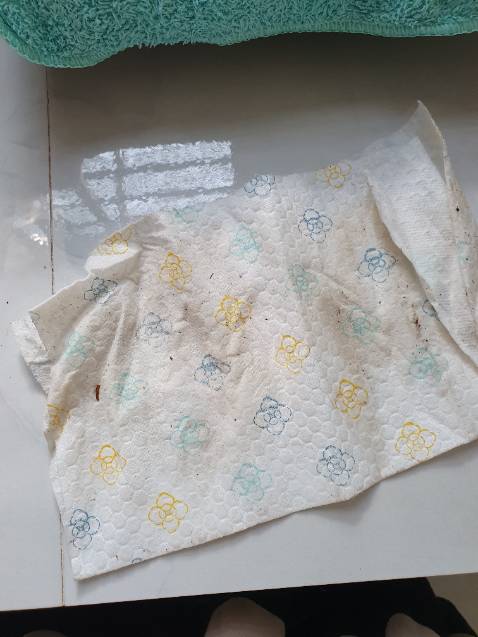 Hàng thương hiệu nên khâu đóng gói rất đẹp mắt và xịn xò.
- Ưu điểm: miếng lau lớn, dai, k bụi

- Nhược điểm: